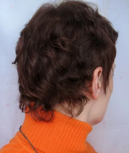 Élénkítő alakformálás mousse Igora szakértő mousse, Schwarzkopf Professional (Schwarzkopf) Élénkítő alakformálás mousse Igora szakértő mousse, Schwarzkopf Professional