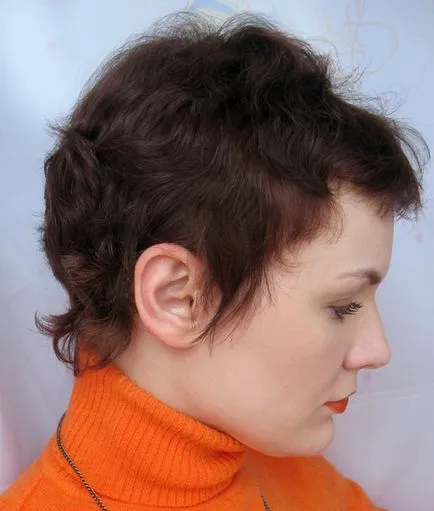 Élénkítő alakformálás mousse Igora szakértő mousse, Schwarzkopf Professional (Igora) Élénkítő alakformálás mousse Igora szakértő mousse, Schwarzkopf Professional