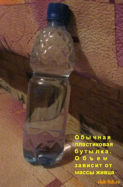 Pike egy üveg - horgászat - információs és szórakoztató portál