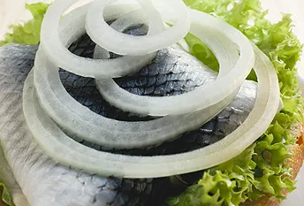 Sós hering - a kedvenc orosz táplálékra - használat kalóriatartalmú recept (használat) Sós hering - a kedvenc orosz táplálékra - használat kalóriatartalmú recept