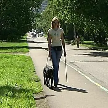 Vakvezető kutya fotók és videók a kutyák a vakok, a felkészítés a vakvezető kutyák