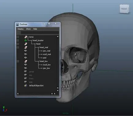 Elhelyezés 3d emberi csontvázat - alkotóműhely Igorya Petunina
