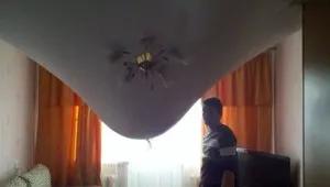 Egy álom szem előtt tartva