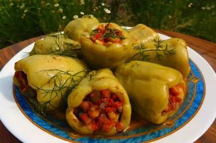 Megmentett macskák előtt és után a metamorfózis a szerelem - vegán (Néhány hónappal később) Megmentett macskák előtt és után a metamorfózis a szerelem - vegán