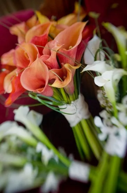 Esküvői csokrok Calla liliom