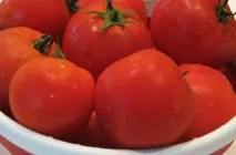 Paradicsom Sanya (Sanya) fotó minőségű, leírása és jellemzése, a reálhozamok, termesztés