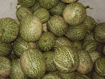 Látszatcselekvés lesz belőle tök friss zöldség a kertben