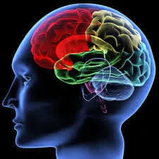 A sclerosis tuberosa tünetei és kezelése