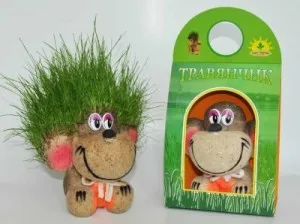 Travyanchik saját kezűleg (majom), hogyan kell gondoskodni, hogy a víz, vágni (a) Travyanchik saját kezűleg (majom), hogyan kell gondoskodni, hogy a víz, kaszálni