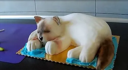 Cake formájában „macska”, varázsló lépésről lépésre class cat (macska) Cake formájában „macska”, lépésről lépésre varázsló macska osztály