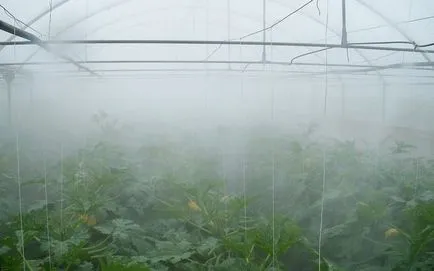 Foggert üvegházhatású hogyan lehet a rendszert a saját kezét, felment a lépcsőn, fotó, videó
