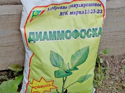 Trágya a petúnia - öltözködés színek (öltözködés) Trágya a petúnia - termékenyítő virágok