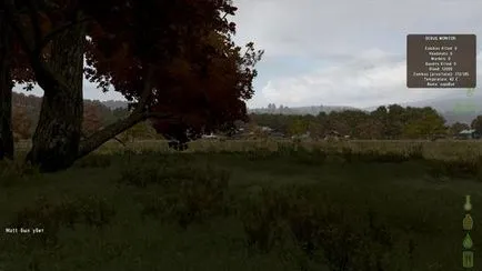 Állítsa Dayz (mindkét változat - köztük gőz) - ARMA 2 napos z - a játék
