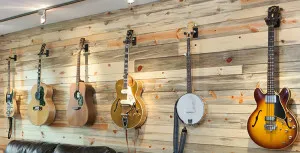 Kímélje a gitár és a szabályok, mint a tárolási