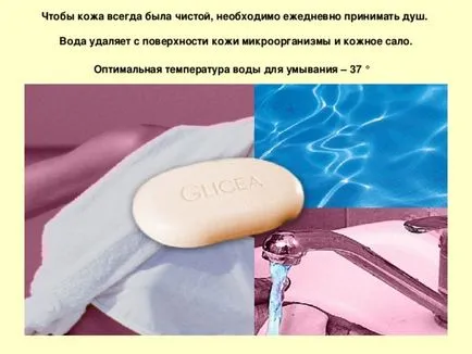Skin Care - biológia, előadások