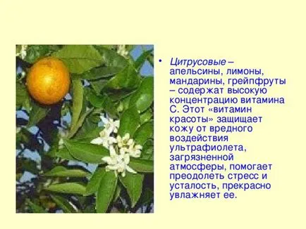 Skin Care - biológia, előadások