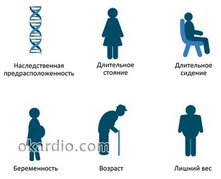 Visszér tünetek, kezelés, okok, komplikációk (láb) Visszér a lábak tünetek, kezelés, okai, szövődmények