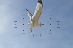 Válogatás a fókuszpontot, fényképészeti órák, videók, műhelyek és tanfolyamok fotgrafii