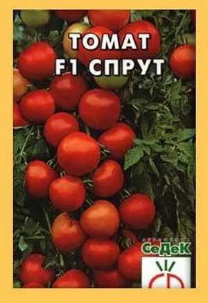 Termesztése paradicsomfajta polip