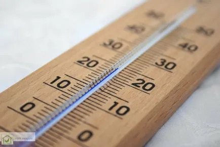 Virágok nőnek az üvegházban, mint üzleti - Hogyan lehet elérni a maximális nyereségesség (az üvegházhatást okozó levegő kell) Virágok nőnek az üvegházban, mint üzleti - Hogyan lehet elérni a maximális nyereségesség