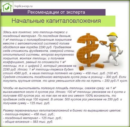 Virágok nőnek az üvegházban, mint üzleti - Hogyan lehet elérni a maximális nyereségesség (szín) Virágok nőnek az üvegházban, mint üzleti - Hogyan lehet elérni a maximális nyereségesség