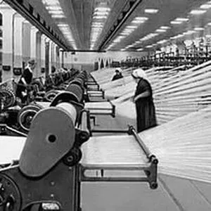 Rayon fajok előállított, és ahol használt (termelt) Rayon fajok gyártott és használni, ahol