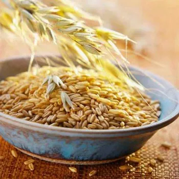 A légúti gyulladás kezelése - 60 recept! (Pályák) A légúti gyulladás kezelése - 60 recept!