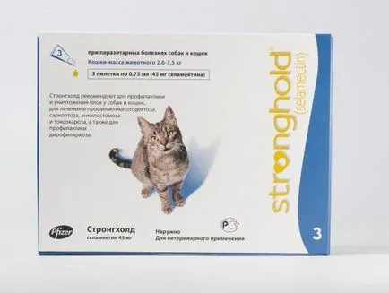 Tetvek macskák - kezelés, a tünetek és hogyan lehet a fogó macskáknál (tetvek) Tetvek macskák - kezelés, a tünetek és hogyan lehet a fogó macskák