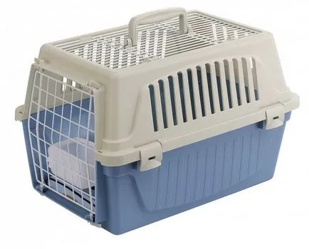 Dog A kiviteli dokumentumok és a vakcinázás a repülés közben, vagy vonat közlekedés
