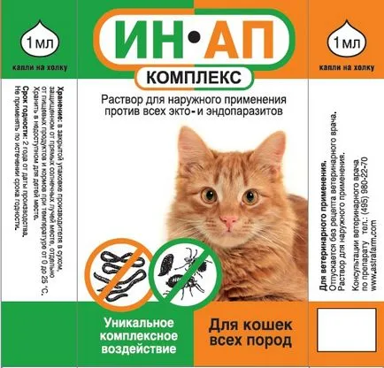 Tetvek macskák - kezelés, a tünetek és hogyan lehet a fogó macskáknál (tetvek) Tetvek macskák - kezelés, a tünetek és hogyan lehet a fogó macskák