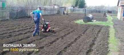 Szántás föld oldalhajtás, termesztés, a megvezető rész (növényi) Szántás föld oldalhajtás, termesztés, megvezető rész