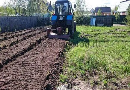Szántás a kertben, és egytengelyű kistraktor kiválasztási eszközök, fotó és videó