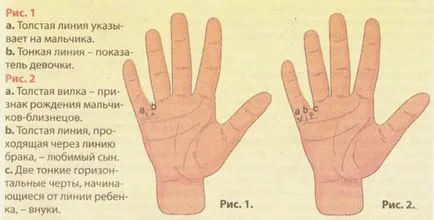 Tenyérjóslás vagy numerológia kézzel honnan tudod, hogy hány gyerek lesz
