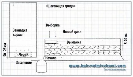 Box tenyésztésre férgek kezük rajz kezek - hogyan lehet a legjobban