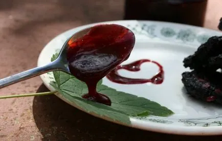 Az üres a téli ribizli lekvár, szárítási, fagyasztási, és más módszerek (feketeribizli jam a téli) Betakarítás a téli ribizli lekvár, szárítási, fagyasztási és más módszerek