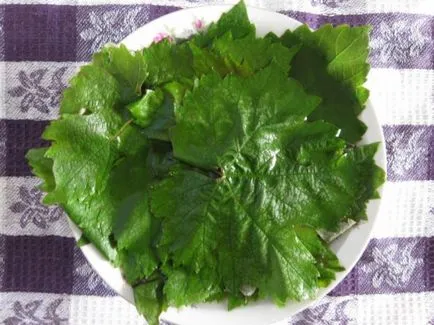 Betakarítás szőlőlevél dolma a tél