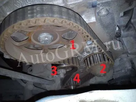 Cseréje a vezérműszíj Renault Logan 1, 6, 8 szelepes képek és videó