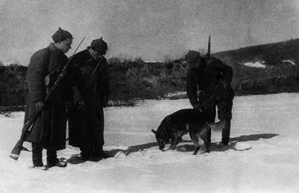 Magazin SWAT - testvér - Legendák SWAT ötven tényeket - Karatsupa