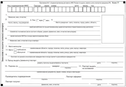 Alkalmazás kiadása az útlevél vagy csere - mintázat töltés (töltési) Alkalmazás kiadásának vagy csere az útlevél - írja minta