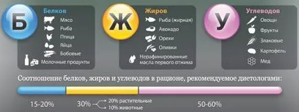 A szénhidrátok és a fehérjék élelmiszerek