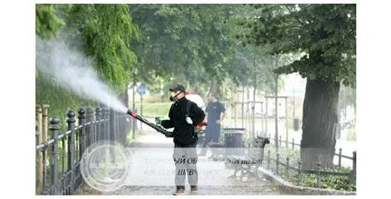 A tudósok a jelenség a gyermekek amnézia egy másik nézőpontból
