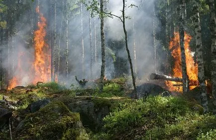 A harag állatöv jel elem, amely irányítja,