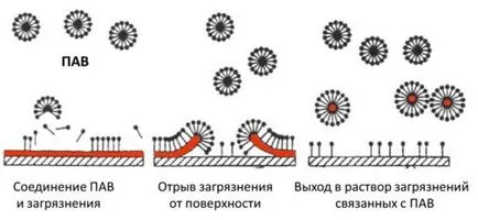 Allergia mosópor, mint a tünetek megjelennek gyermekek és felnőttek (mosószert allergiában szenvedők) Allergia mosópor szerű tünetek gyermekeknél és felnőtteknél jelenik meg