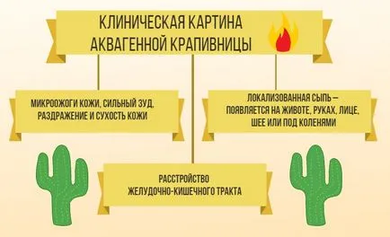 Allergia víz - és tüneteinek kezelésére irritációt kezek (allergia) Allergia víz - tünetek és kezelés az irritáció a kézen