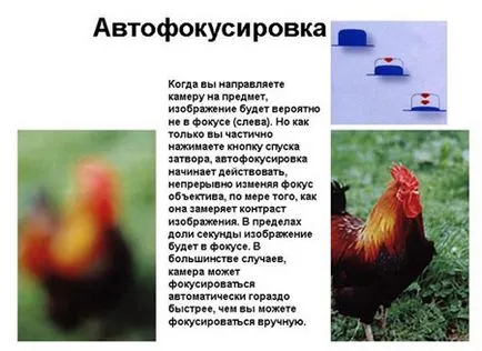 Anatomy of a digitális fényképezőgép