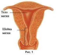 Nyaki biopszia