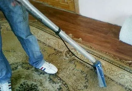 A bolhák a lakásban, hol és hogyan lehet megszabadulni a pénz
