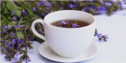 Tea zsályás előnyei és hátrányai a népszerű ital