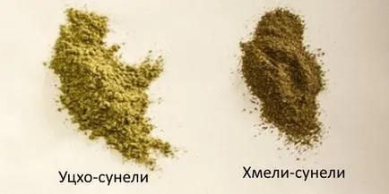 Chakhokhbili csirke Grúz klasszikus recept egy fotó