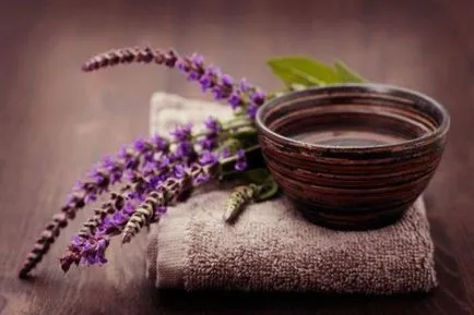 Tea zsályás haszon és kár, hogyan kell inni (recept) Tea zsályás haszon és kár, hogyan kell inni (recept)
